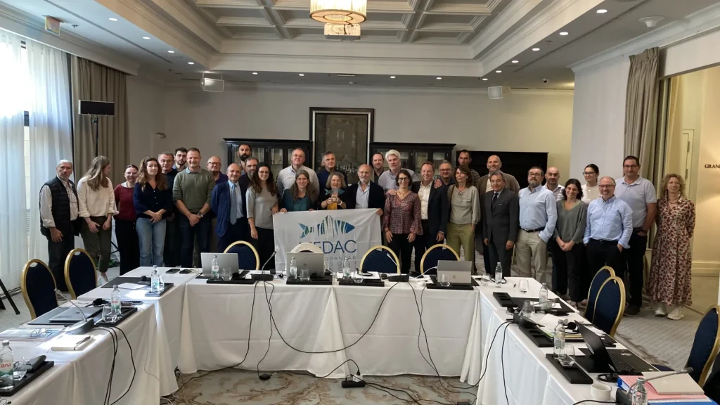 MEDAC - Working and Focus Group